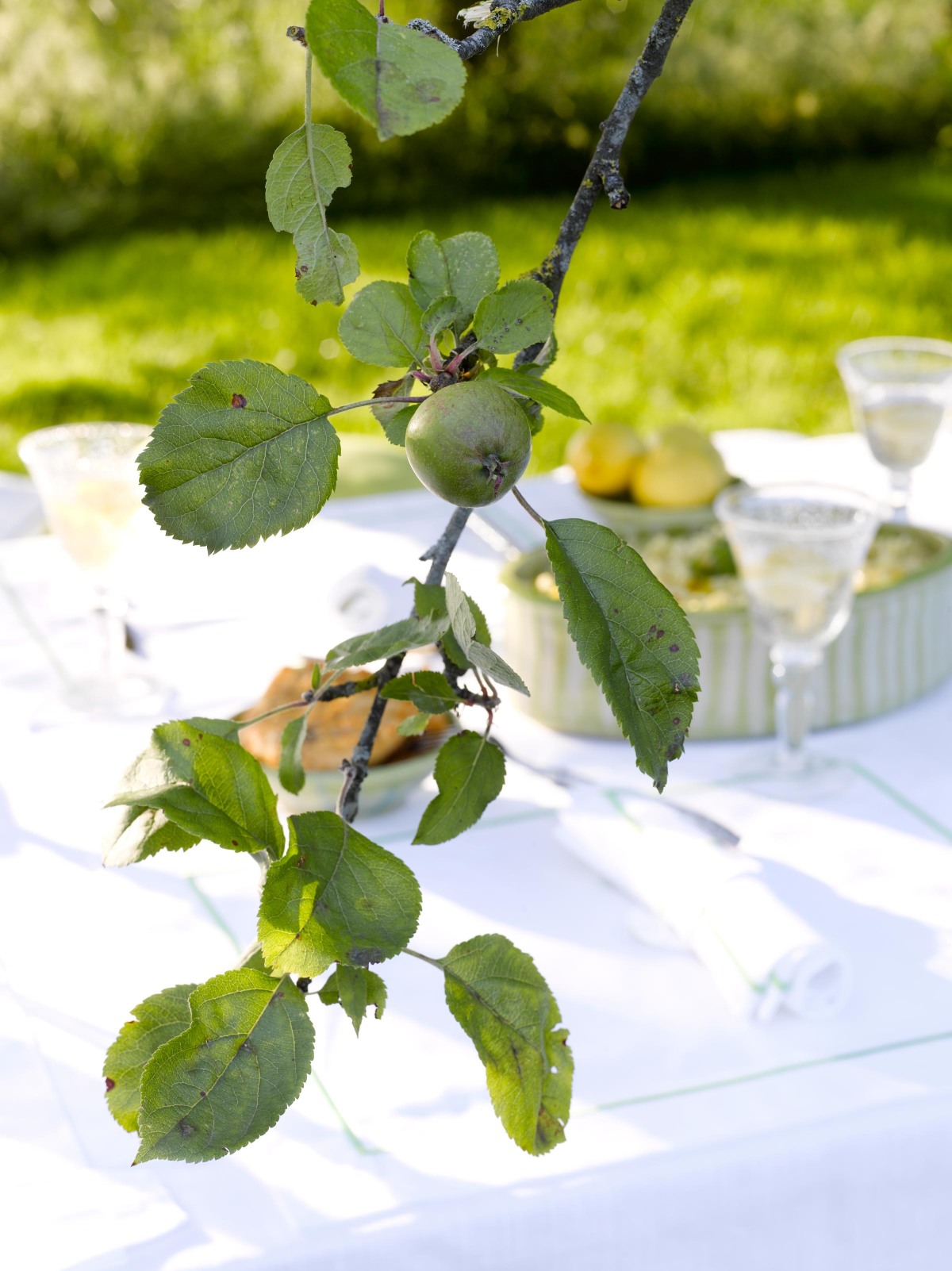 Table linen - Maca by Mirabel Slabbinck